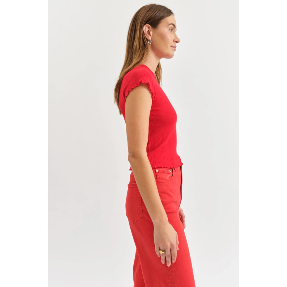 Divino Baby Tee
