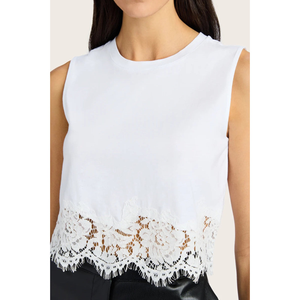 Tesoro Lace Mix Top