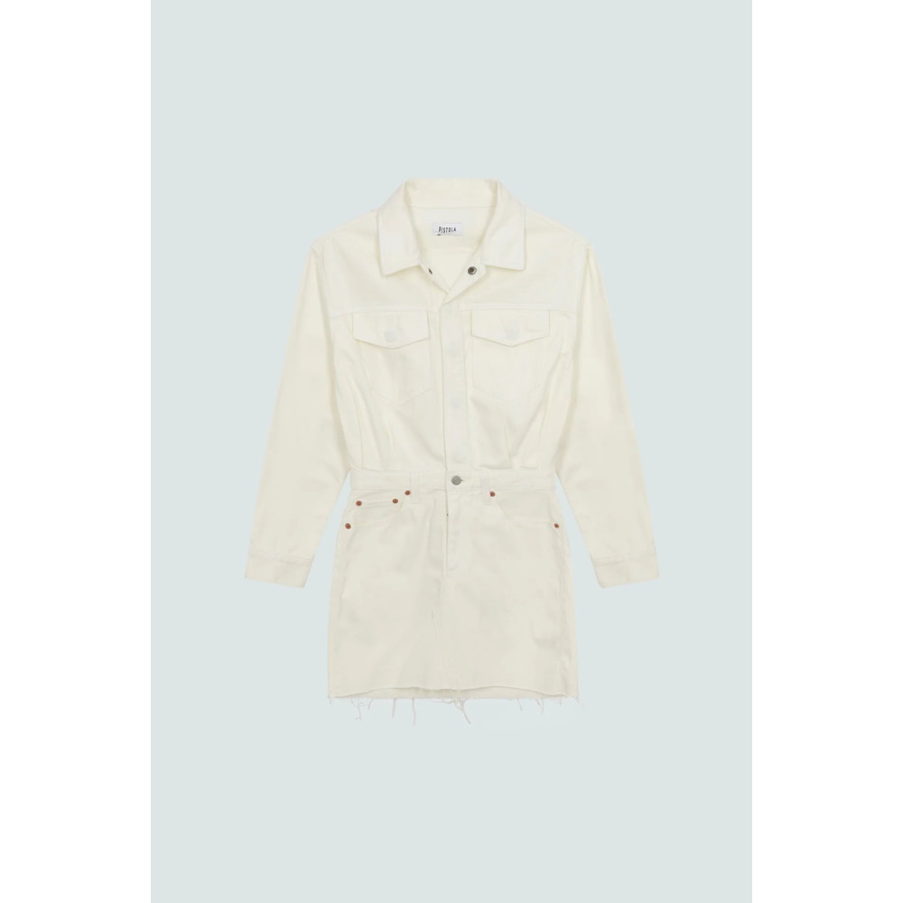 Spring Joie Mini Dress